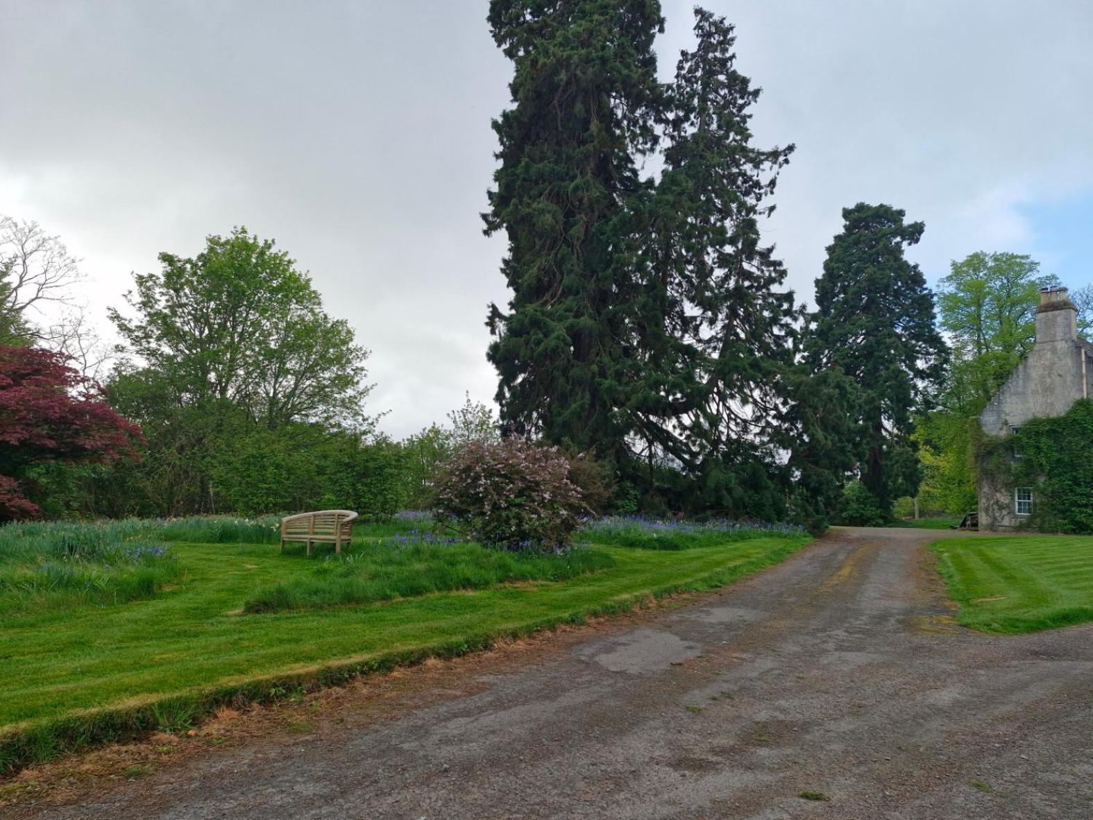 The Bungalow - Ardullie Lodge Dingwall Exterior foto